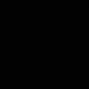 Meet your Posher, Paige